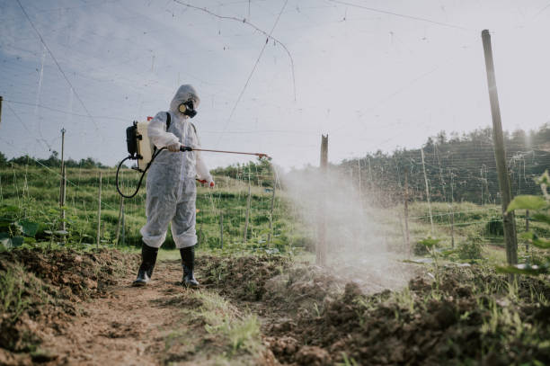 Best Wasp Removal Services  in Horse Pasture, VA