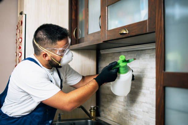 Pest Control for Restaurants in Horse Pasture, VA