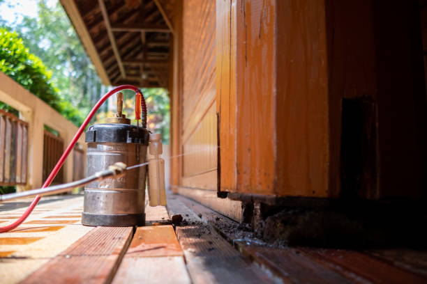Best Termite Control Services  in Horse Pasture, VA