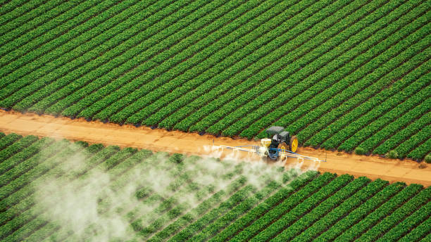 Best Local Pest Control Services  in Horse Pasture, VA